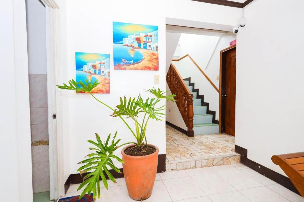 Mayon Backpackers Hostel Legazpi Exterior photo