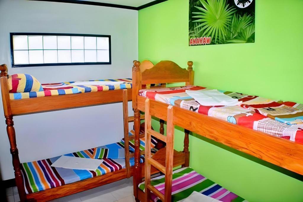 Mayon Backpackers Hostel Legazpi Exterior photo
